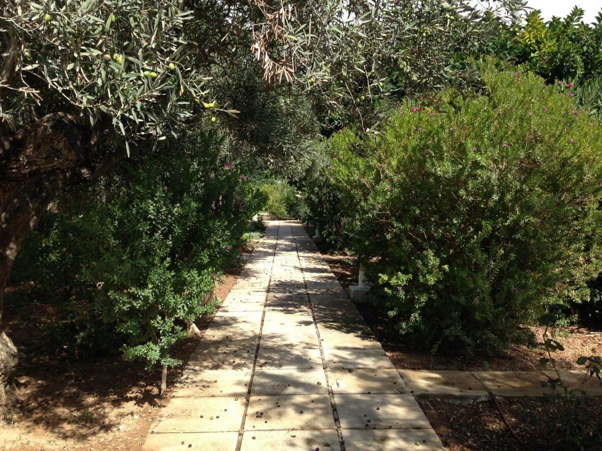 Una Casa Junto Al Mar Αλτέα Εξωτερικό φωτογραφία